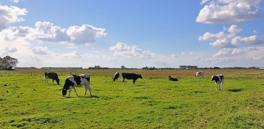 Agrarische Schouw