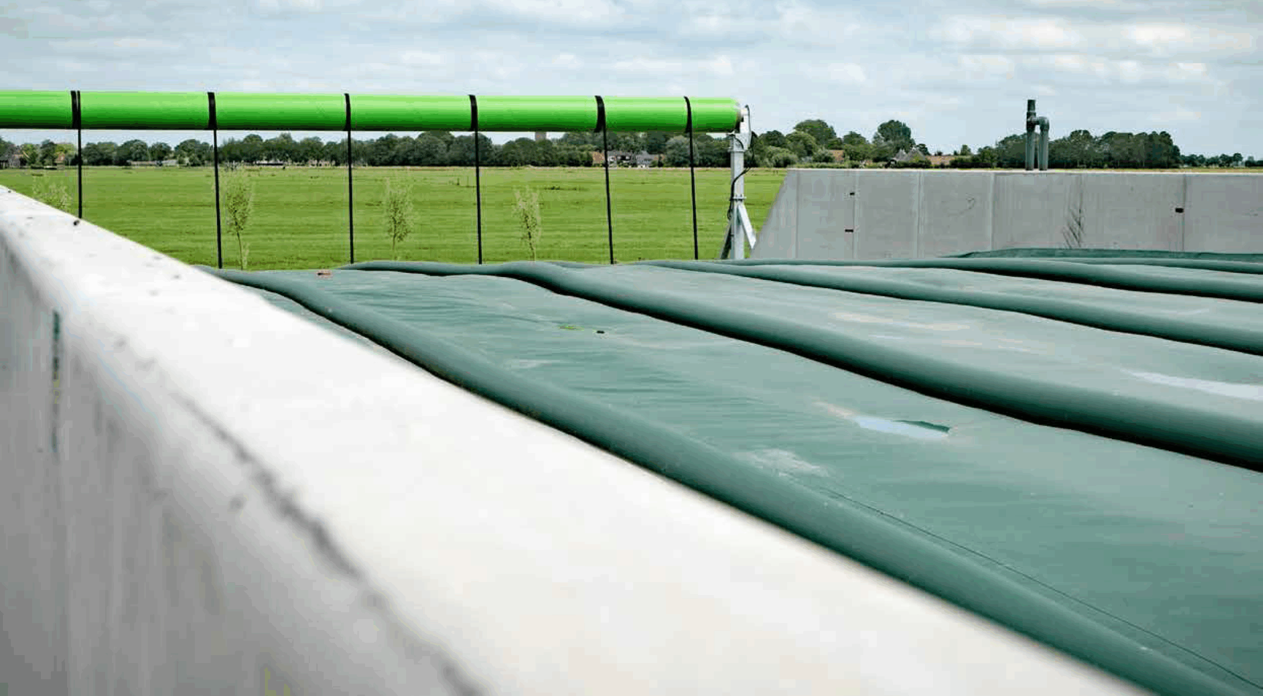 home-header-background