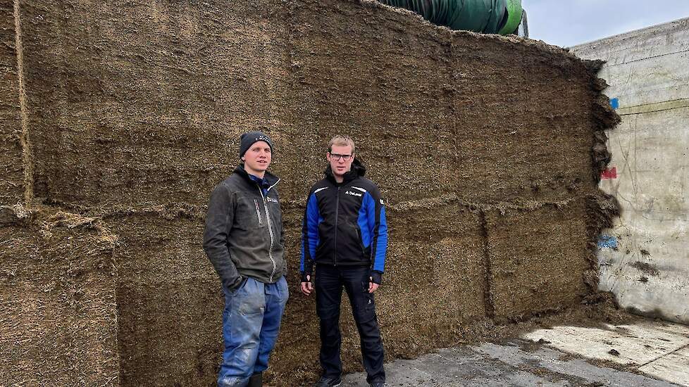 Het ruwvoer moet gewoon perfect zijn